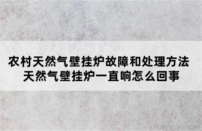 农村天然气壁挂炉故障和处理方法 天然气壁挂炉一直响怎么回事